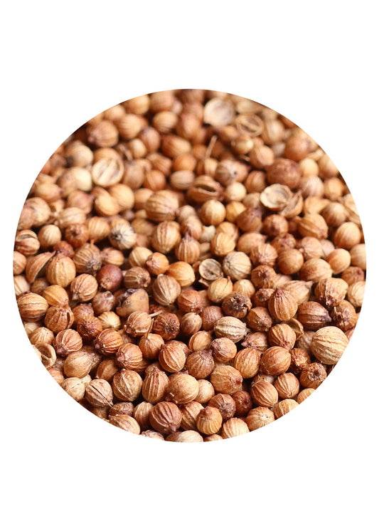 CORIANDER GANZ
