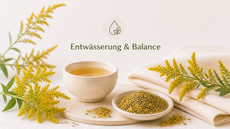 Entwässerung & Balance