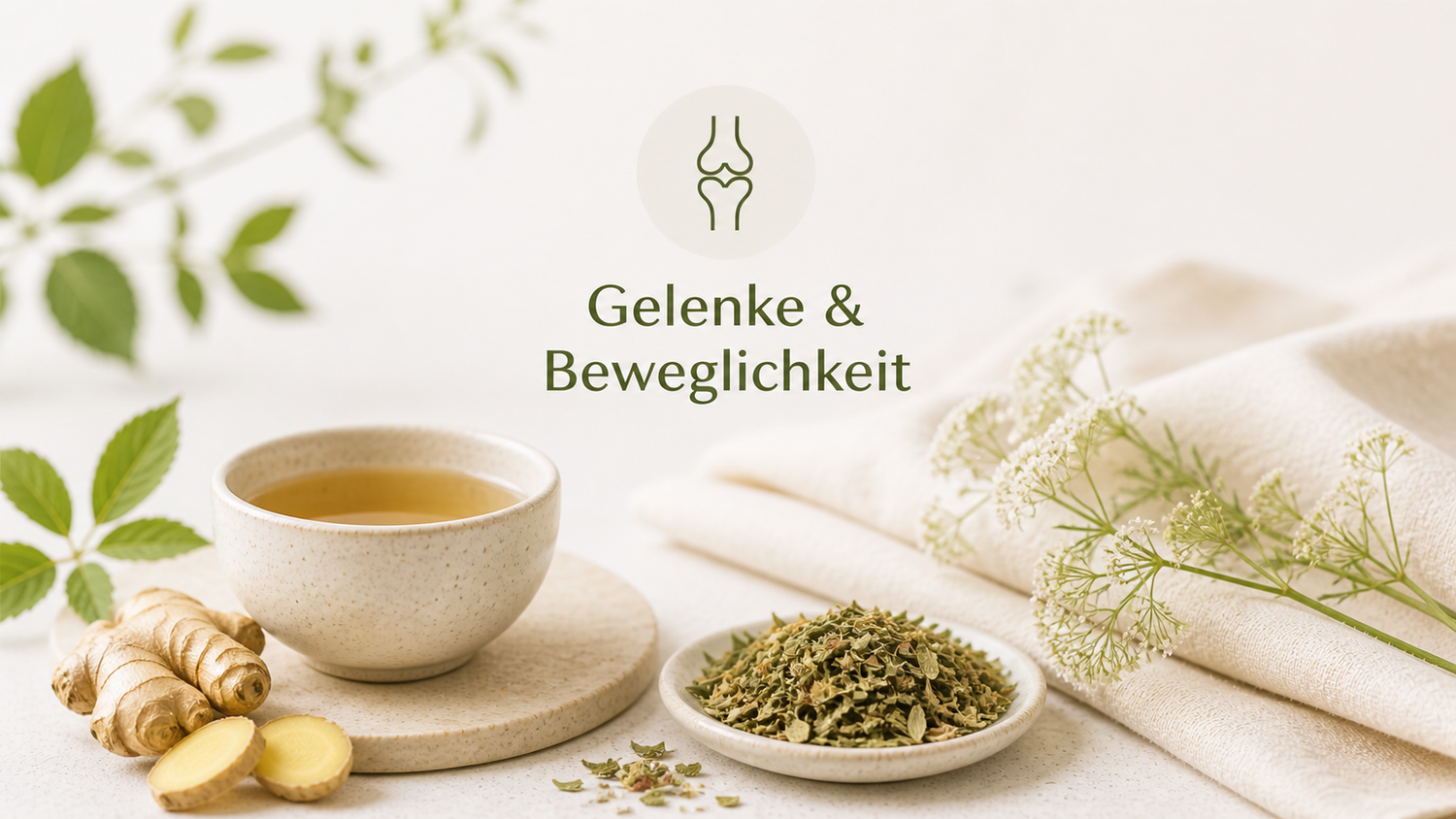Gelenke & Beweglichkeit