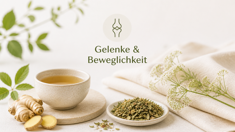 Gelenke & Beweglichkeit