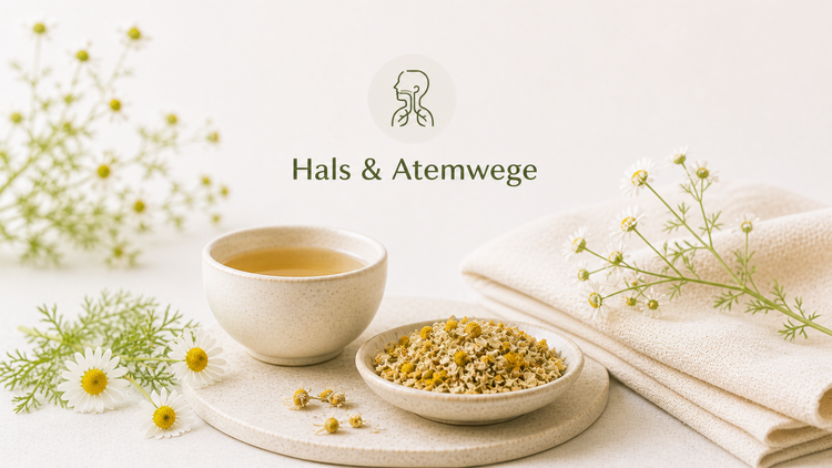 Hals & Atemwege