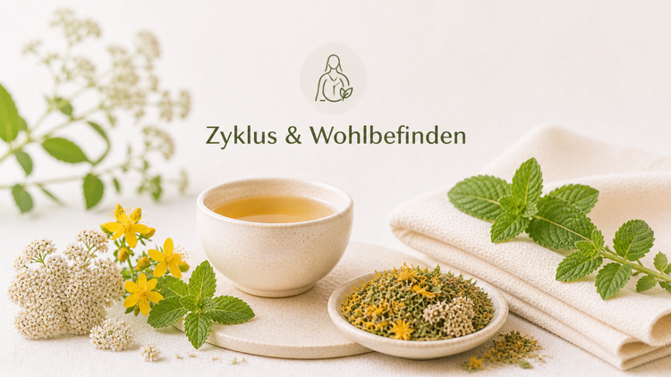 Zyklus & Wohlbefinden