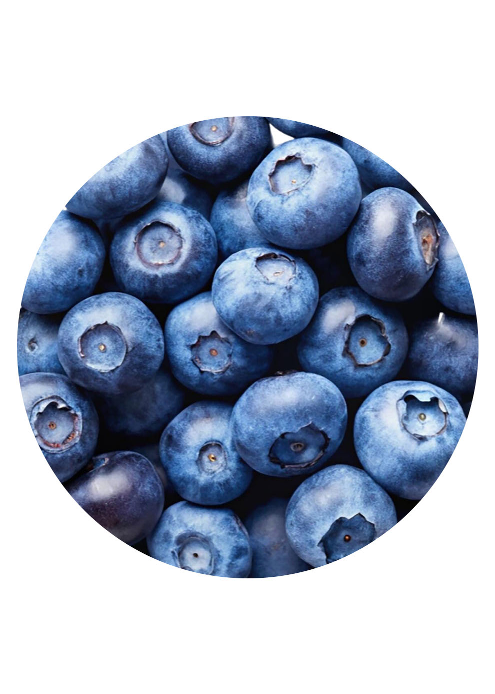BLAUBEERKUSS