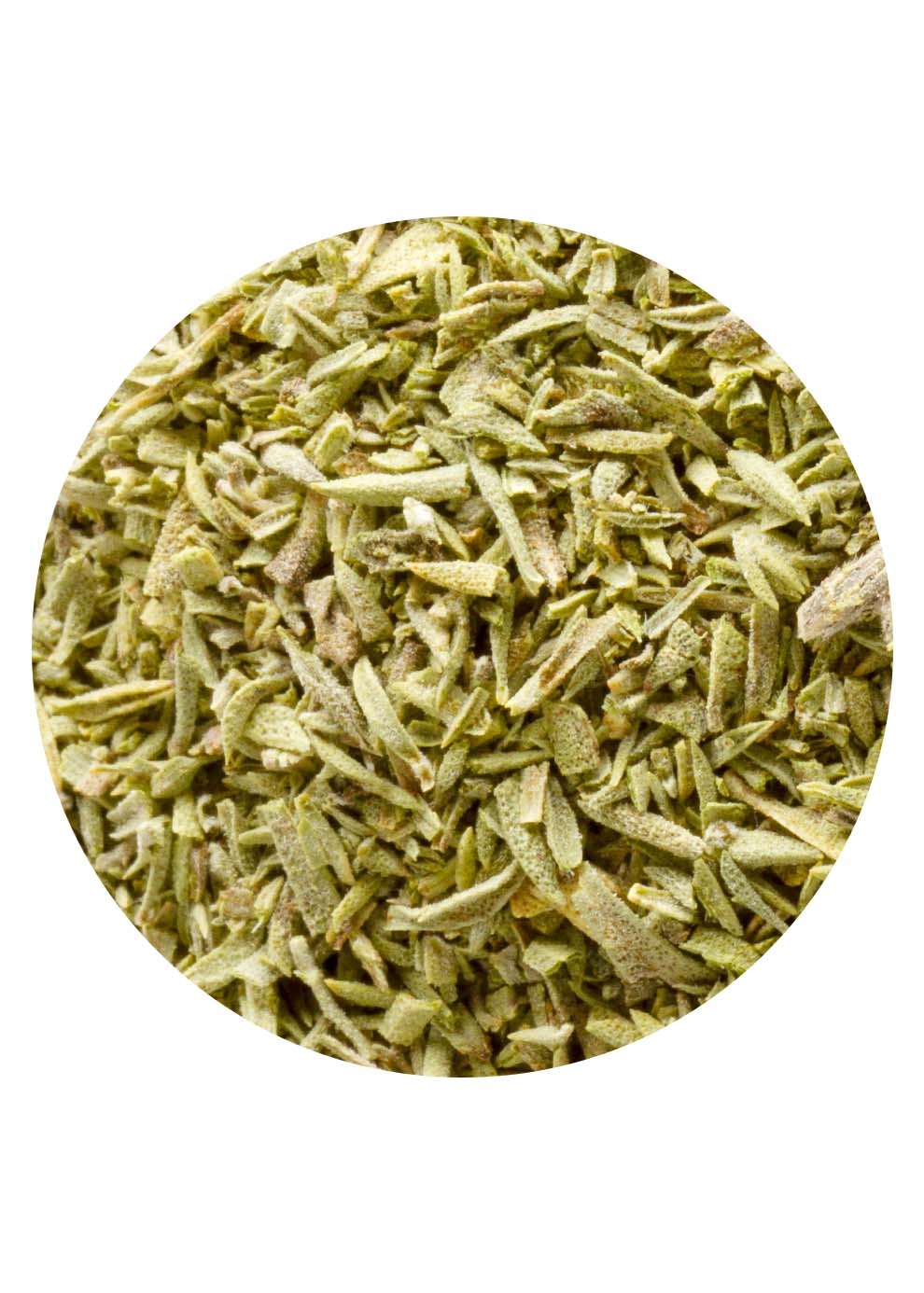 ESTRAGON GEREBELT